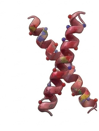 Glucagon